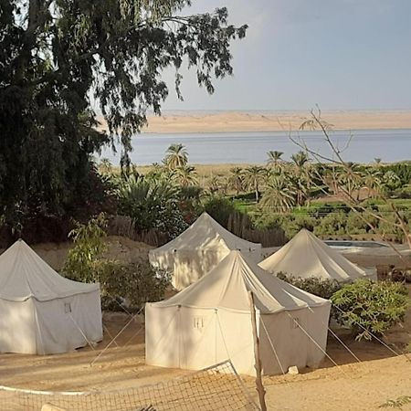 Tunis Camp Al Fayyūm Eksteriør bilde