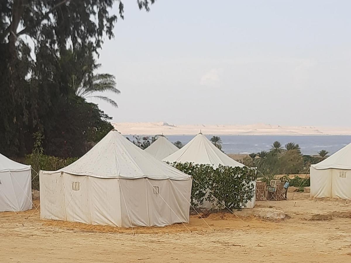 Tunis Camp Al Fayyūm Rom bilde
