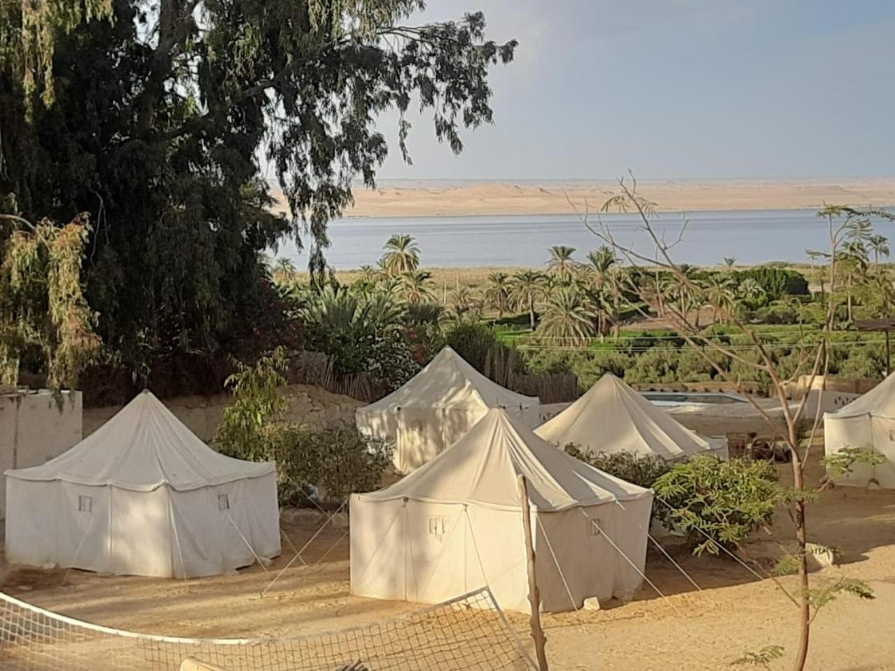Tunis Camp Al Fayyūm Eksteriør bilde